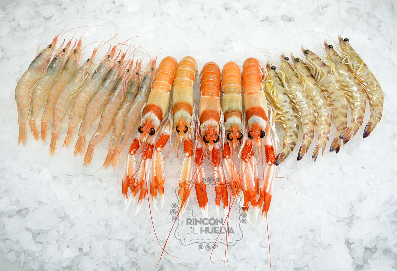 Comprar Marisco a Domicilio El Rincón de Huelva Comprar Marisco a Domicilio El Rincón de Huelva